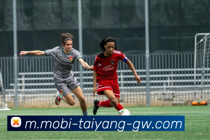 太阳城APP 封面图